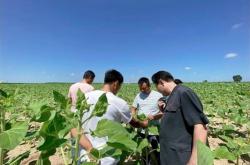 赤峰收購(gòu)草子公司地址電話(huà)號(hào)碼