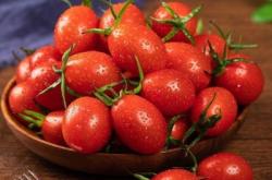 赤峰賣(mài)連枝圣女果電話多少