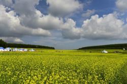 赤峰新城油菜花景區(qū)電話號(hào)碼