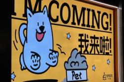 赤峰寵物店最多哪條街