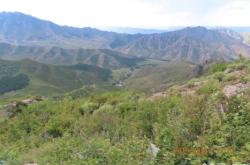 赤峰老府采蘑菇電話號碼查詢