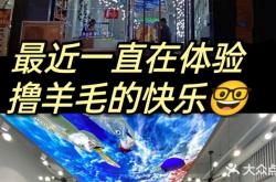 赤峰本地玩樂平臺電話號碼