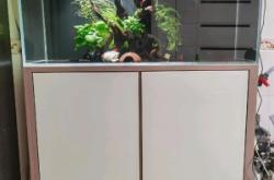 赤峰收二手魚缸電話地址查詢