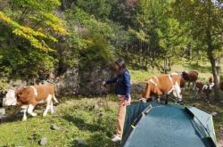 赤峰到大慶客車電話多少