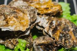 赤峰現(xiàn)場(chǎng)烤生蠔店電話地址查詢