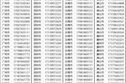赤峰靚號總代理地址電話號碼