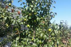 赤峰樹云農(nóng)家院訂餐電話號碼