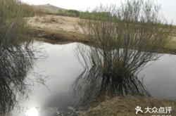 赤峰旅行社電話是多少啊