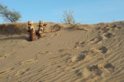 赤峰市敖漢旗農(nóng)機局電話號碼