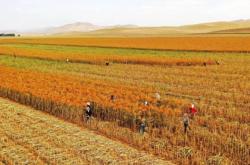 赤峰愛蓓寧幼兒園電話多少
