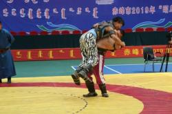 赤峰摔跤場(chǎng)館團(tuán)購(gòu)電話多少號(hào)