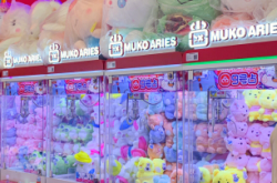 赤峰紅廟子抓娃娃電話號(hào)碼是多少