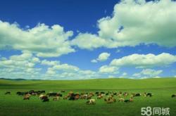 赤峰同城粘磚電話號(hào)碼查詢