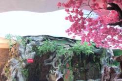 赤峰瑤池御水團(tuán)購(gòu)電話多少號(hào)