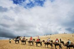 赤峰網(wǎng)約車工會電話號碼查詢