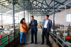 內(nèi)蒙赤峰食用油工廠(chǎng)電話(huà)號(hào)碼