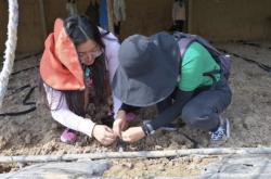 赤峰楚東生態(tài)園的電話號碼