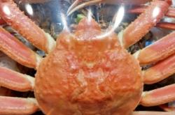 赤峰海鮮大咖包間電話號(hào)碼多少