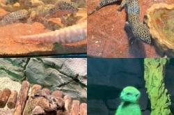 赤峰探店動物園電話地址查詢