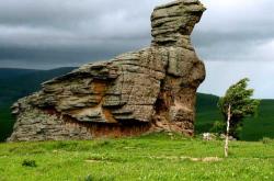 赤峰阿旗修面店電話號碼多少