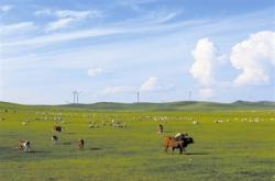 赤峰阿旗劉姐飯店電話地址查詢