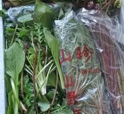 赤峰山野菜特產(chǎn)店電話號碼