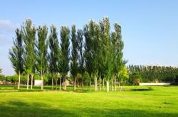 赤峰伊合園餐館電話多少號