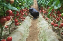 赤峰寧城葵花油廠家電話號碼