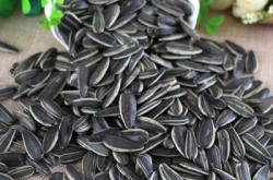 赤峰劉振瓜子店電話多少號(hào)