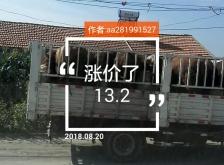 赤峰市電視臺直播電話號碼