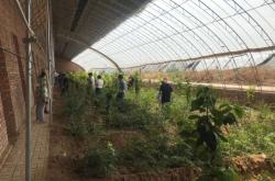 赤峰水果旗艦店電話號碼查詢