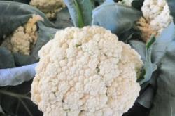 佳潤(rùn)超市赤峰店電話號(hào)碼查詢