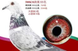 赤峰拍賣平臺官網(wǎng)電話號碼查詢