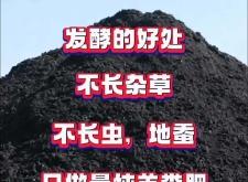 赤峰羊糞生產廠家電話號碼