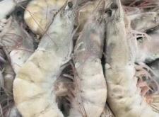 赤峰凍貨批發(fā)市場電話號碼