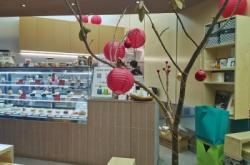 赤峰賣(mài)兔子店在哪里啊電話(huà)號(hào)碼