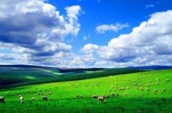 赤峰烏丹音響租賃電話號碼查詢