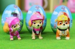 赤峰市狗狗救援隊電話號碼