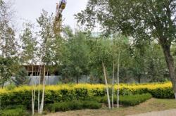 赤峰摩爾城寬帶電話號碼查詢