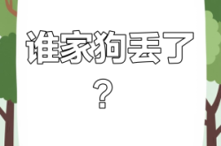 赤峰狗狗走丟電話多少啊