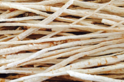 內(nèi)蒙古赤峰藥材基地電話號碼