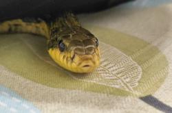 赤峰兔唇理發(fā)師電話號碼查詢