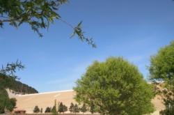 赤峰寧城相親會電話號碼查詢