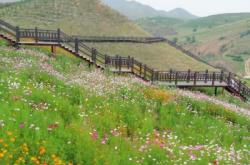 赤峰心景花海地址電話(huà)號(hào)碼