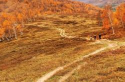 赤峰阿寺理發(fā)店電話地址查詢