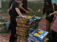 赤峰富河園水果超市電話號(hào)碼