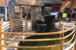 赤峰扒豬臉店電話號(hào)碼多少