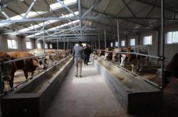 赤峰綠鑫養(yǎng)殖場(chǎng)電話地址查詢(xún)