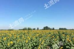 內蒙古赤峰附近水澆地