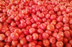 赤峰收購(gòu)輸送帶廠家電話號(hào)碼